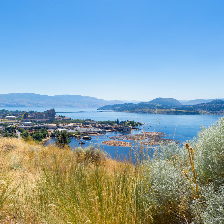 Far away landscape shot of mountains, lake, bridge log mill and town